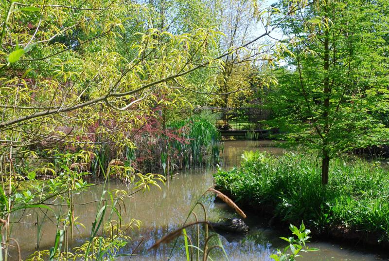 Bluebell Arboretum and Nursery